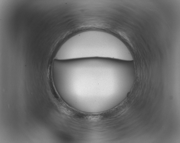 X0000070860495200606161014