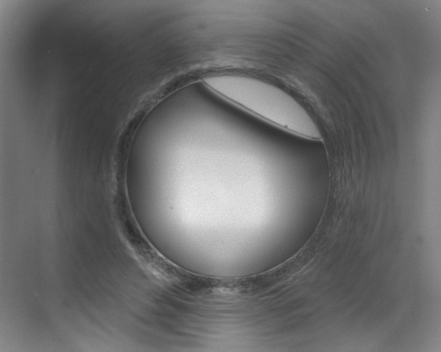 X0000070860496200606161014