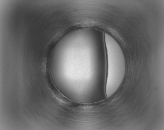 X0000070860501200606161014