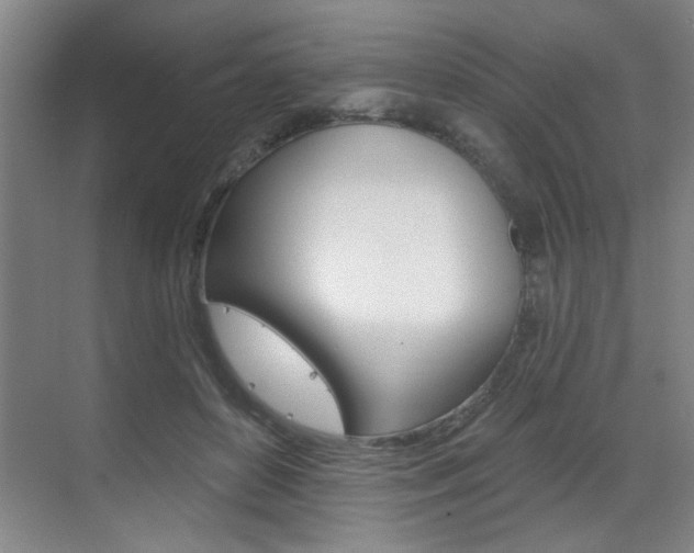 X0000070860504200606161014