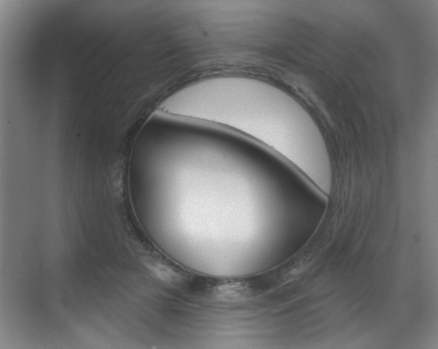 X0000070860505200606161014