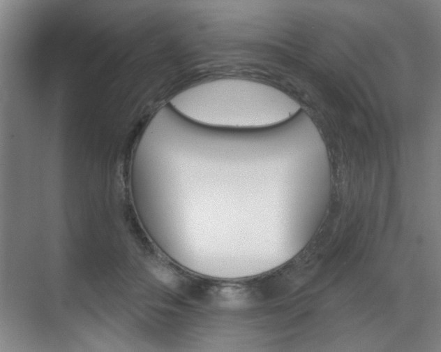 X0000070860506200606161014