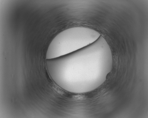 X0000070860511200606161014
