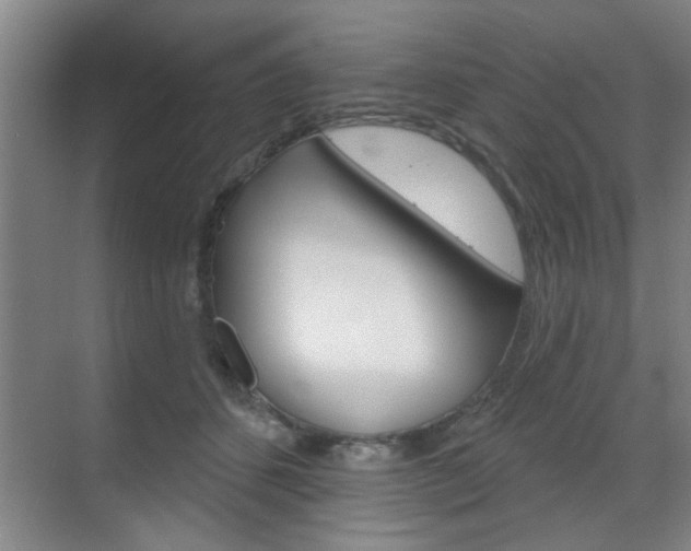 X0000070860512200606161014
