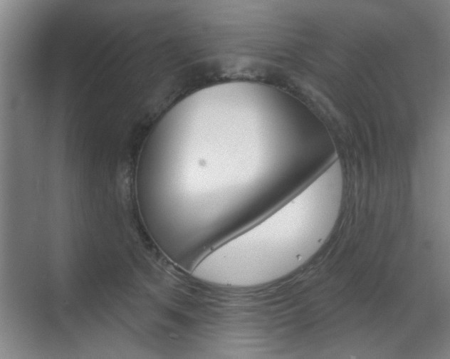 X0000070860513200606161014