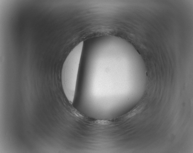 X0000070860528200606161014