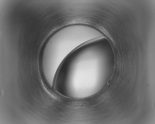 X0000070860530200606161013