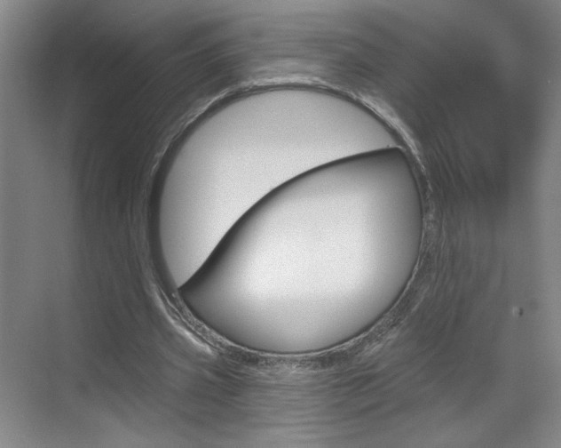 X0000070860533200606161013