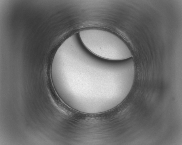 X0000070860538200606161013