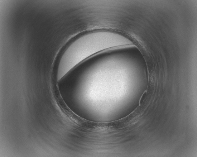 X0000070860540200606161013