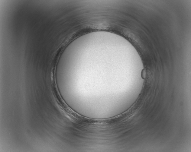 X0000070860541200606161013