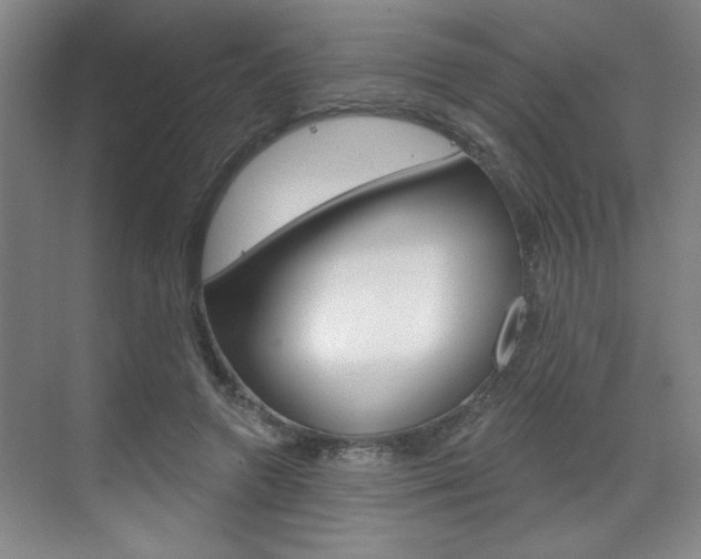 X0000070860546200606161013