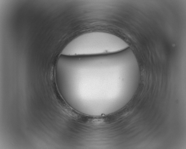 X0000070860554200606161013