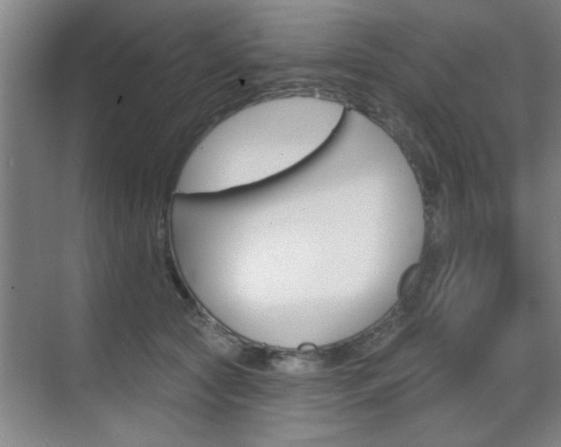 X0000070860561200606161013