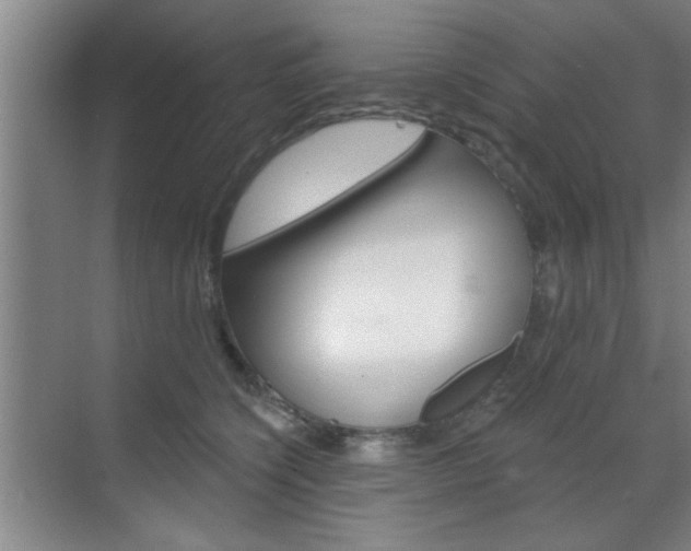 X0000070860564200606161013