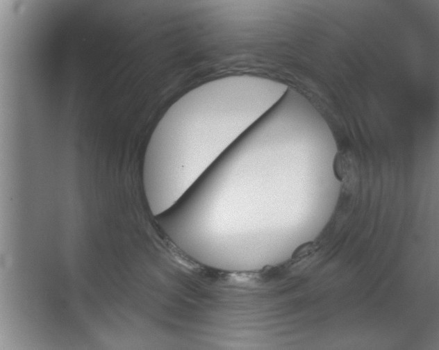 X0000070860573200606161013