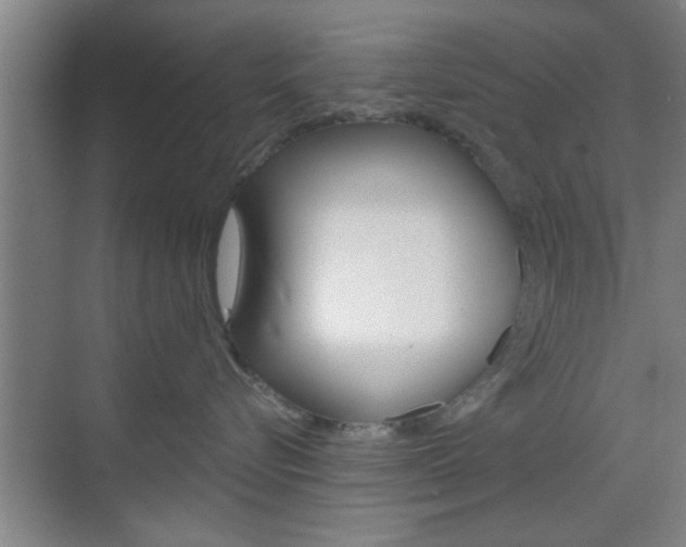 X0000070860576200606161014