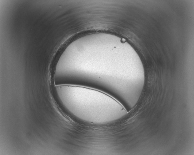 X0000070860584200606161013