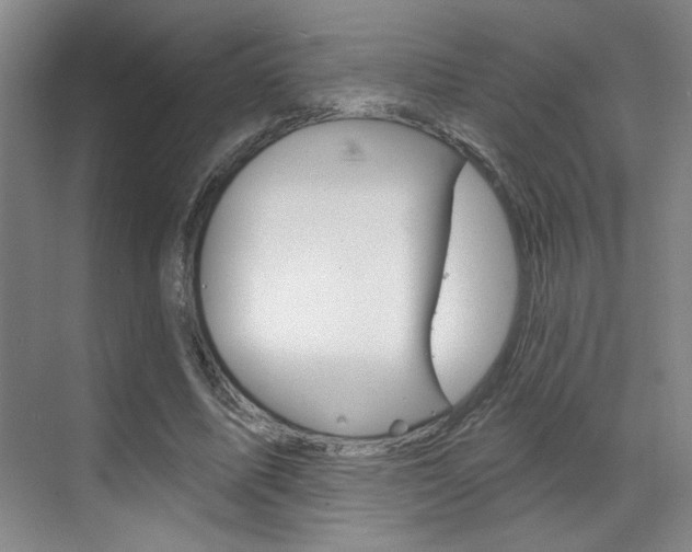X0000070860587200606161013