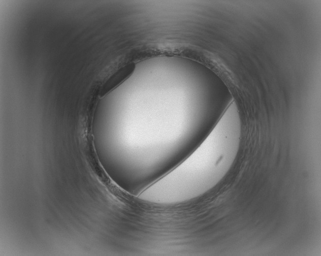 X0000070860593200606161012