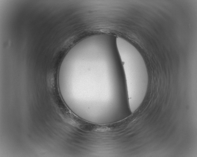 X0000070860595200606161012