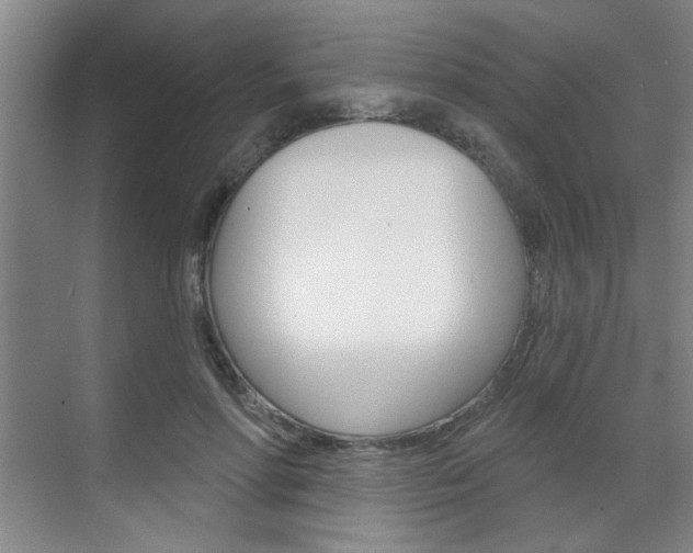 X0000070860598200606161012