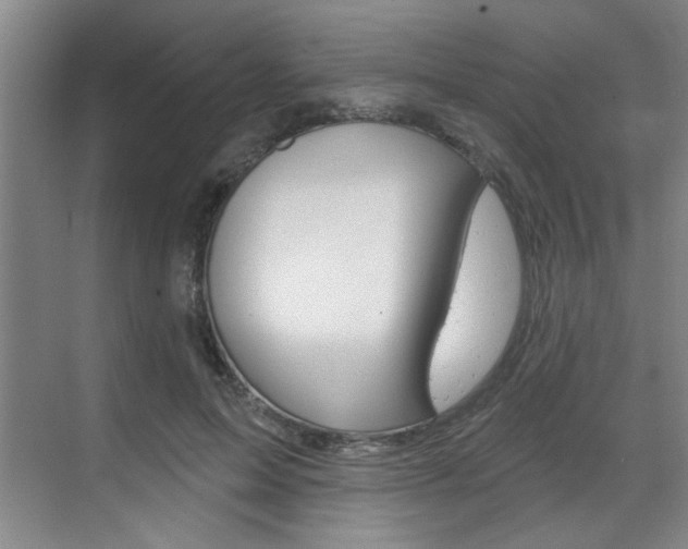 X0000070860599200606161012