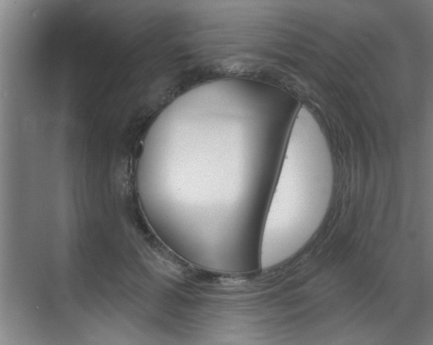 X0000070860605200606161012