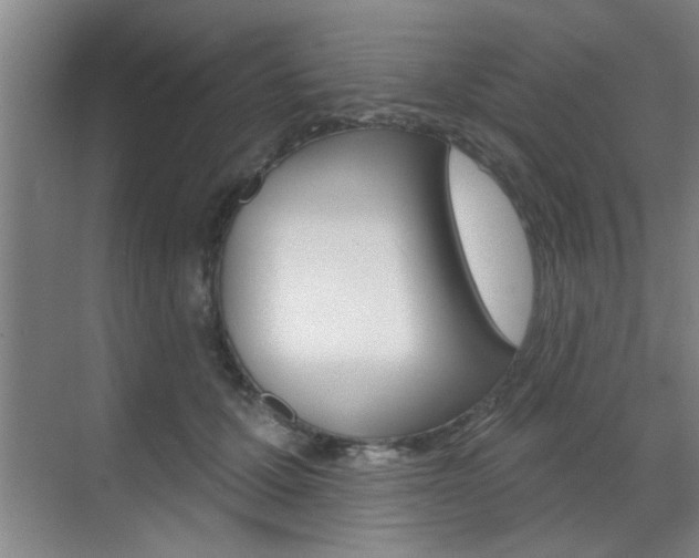 X0000070860607200606161012