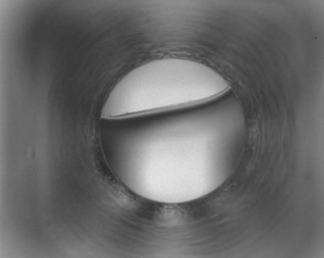X0000070860608200606161012