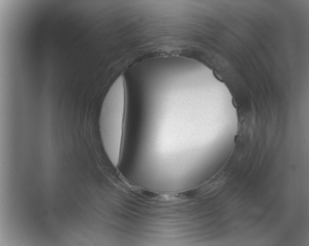 X0000070860623200606161012