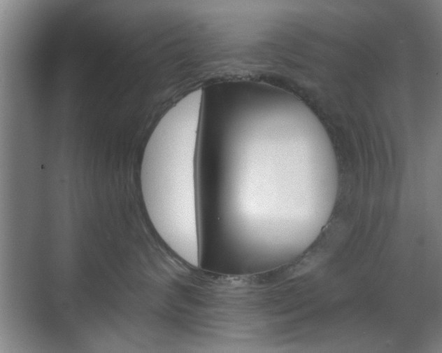 X0000070860624200606161012