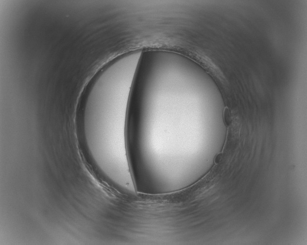 X0000070860626200606161011