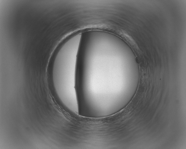 X0000070860628200606161011
