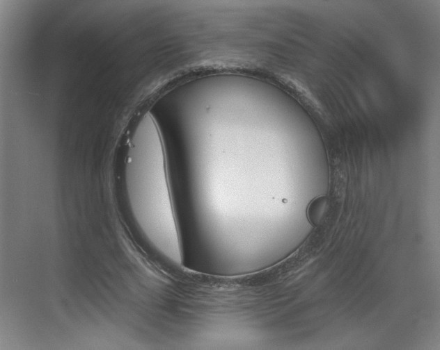 X0000070860631200606161011