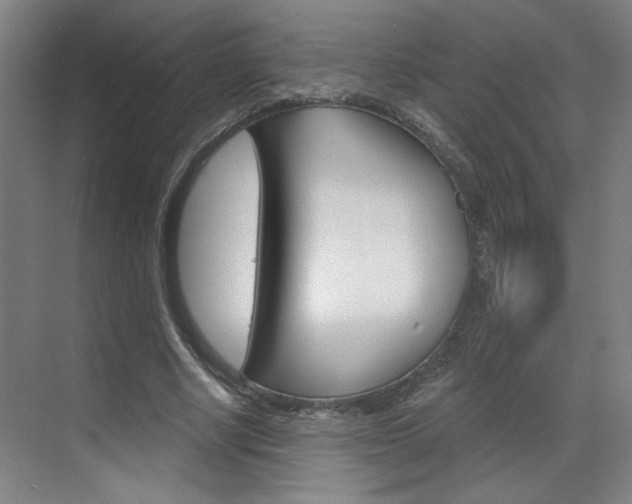 X0000070860634200606161011