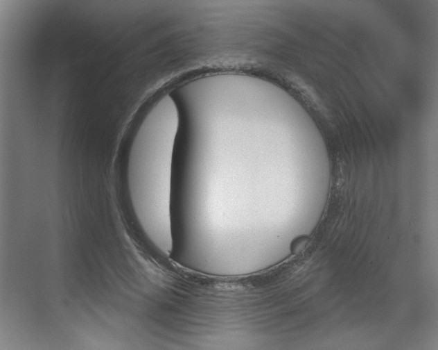 X0000070860636200606161011