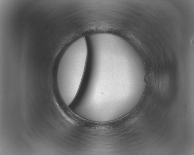 X0000070860638200606161011