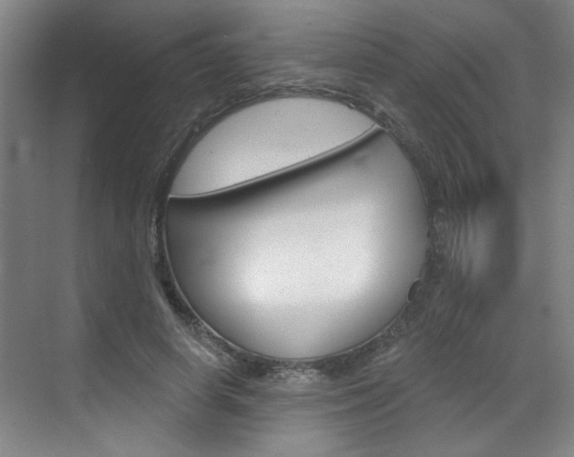 X0000070860642200606161011