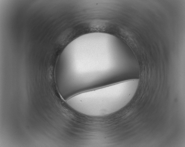 X0000070860649200606161012