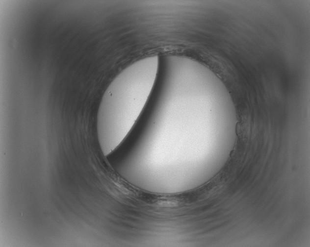 X0000070860653200606161012