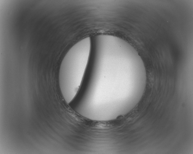 X0000070860657200606161012