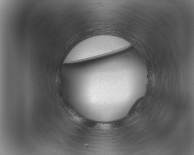X0000070860665200606161012