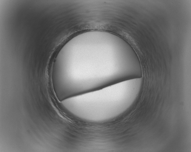 X0000070860674200606161011