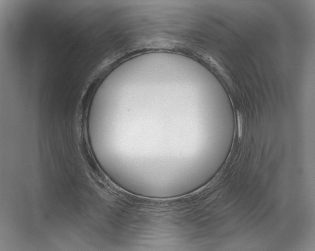 X0000070860675200606161011