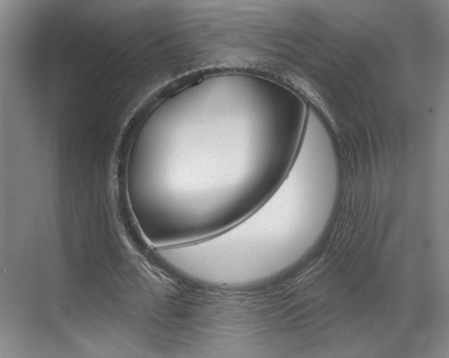 X0000070860676200606161011
