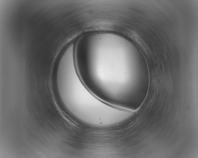 X0000070860677200606161011