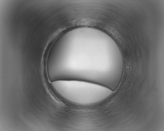 X0000070860678200606161011