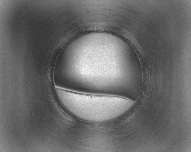 X0000070860681200606161011