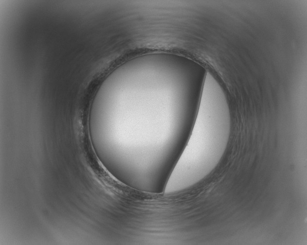 X0000070860688200606161011